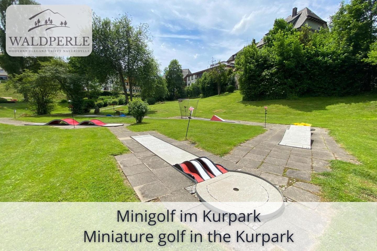Exklusives 5-Sterne Apartment Waldperle Mit Indoor-Pool, Sauna, Top Lage Und Ausblick In Die Natur, Hunde Willkommen Schonach im Schwarzwald Экстерьер фото