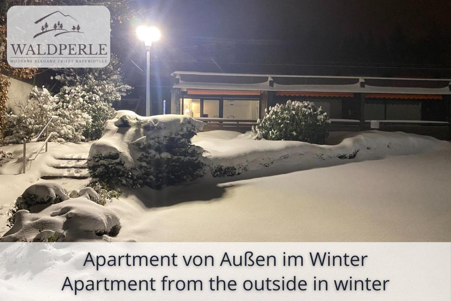 Exklusives 5-Sterne Apartment Waldperle Mit Indoor-Pool, Sauna, Top Lage Und Ausblick In Die Natur, Hunde Willkommen Schonach im Schwarzwald Экстерьер фото