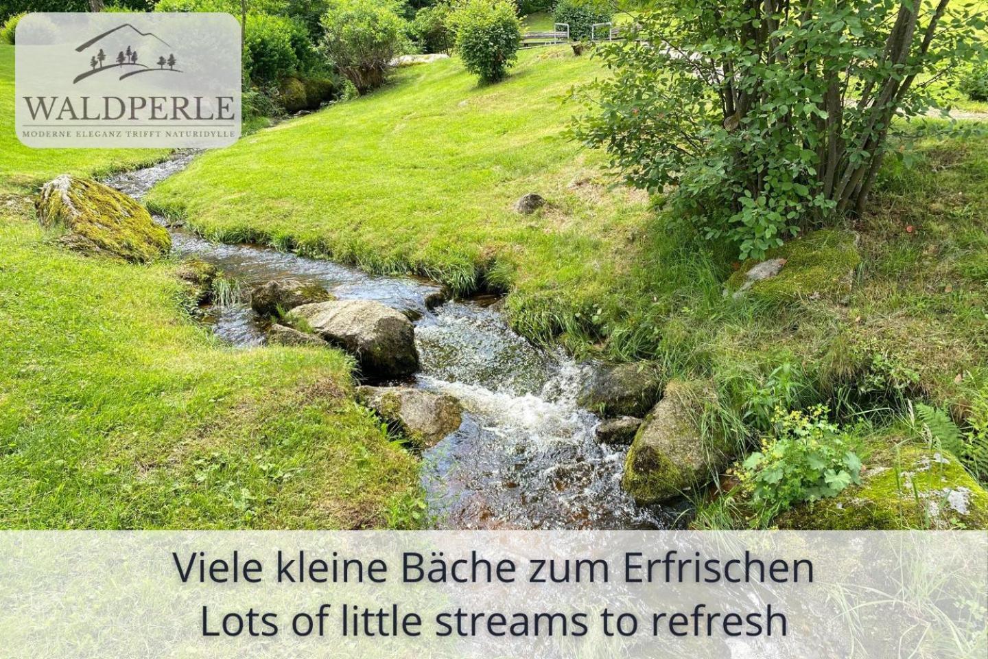 Exklusives 5-Sterne Apartment Waldperle Mit Indoor-Pool, Sauna, Top Lage Und Ausblick In Die Natur, Hunde Willkommen Schonach im Schwarzwald Экстерьер фото