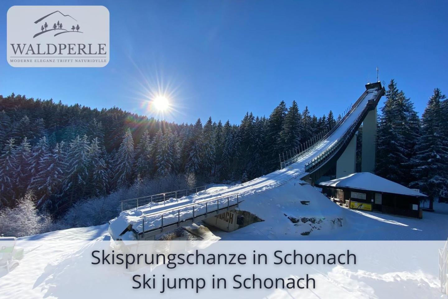 Exklusives 5-Sterne Apartment Waldperle Mit Indoor-Pool, Sauna, Top Lage Und Ausblick In Die Natur, Hunde Willkommen Schonach im Schwarzwald Экстерьер фото