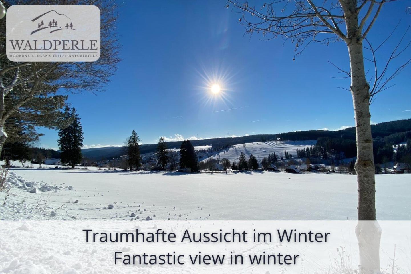 Exklusives 5-Sterne Apartment Waldperle Mit Indoor-Pool, Sauna, Top Lage Und Ausblick In Die Natur, Hunde Willkommen Schonach im Schwarzwald Экстерьер фото