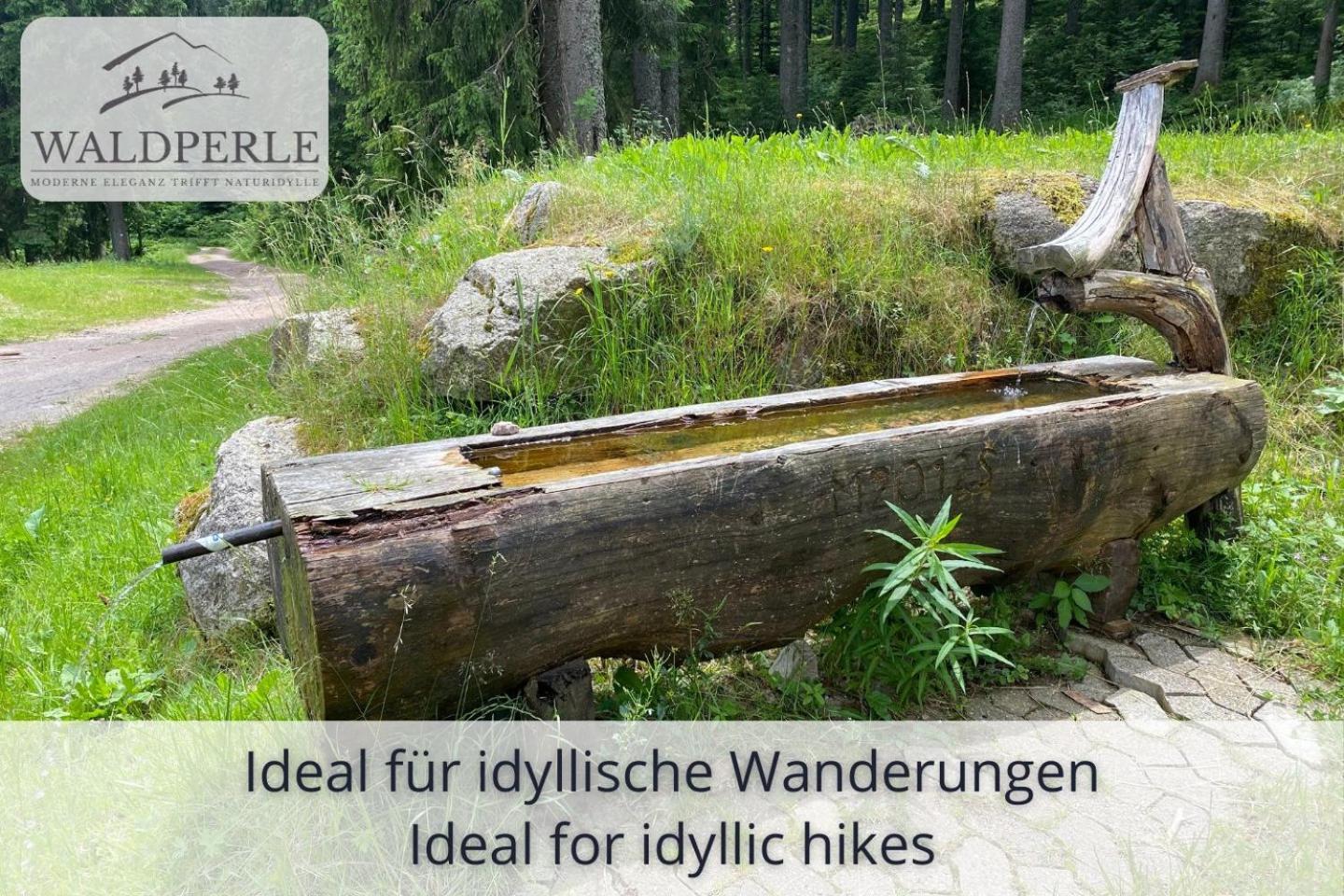 Exklusives 5-Sterne Apartment Waldperle Mit Indoor-Pool, Sauna, Top Lage Und Ausblick In Die Natur, Hunde Willkommen Schonach im Schwarzwald Экстерьер фото