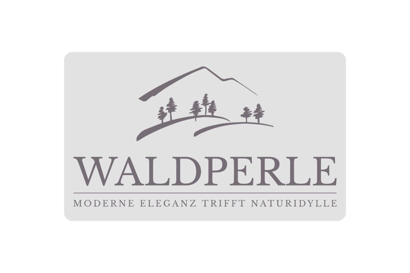 Exklusives 5-Sterne Apartment Waldperle Mit Indoor-Pool, Sauna, Top Lage Und Ausblick In Die Natur, Hunde Willkommen Schonach im Schwarzwald Экстерьер фото