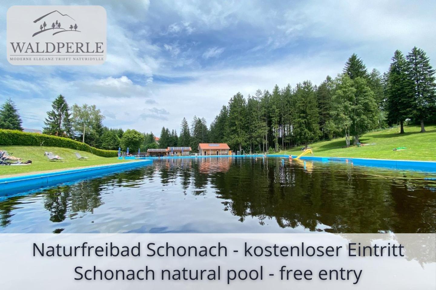 Exklusives 5-Sterne Apartment Waldperle Mit Indoor-Pool, Sauna, Top Lage Und Ausblick In Die Natur, Hunde Willkommen Schonach im Schwarzwald Экстерьер фото