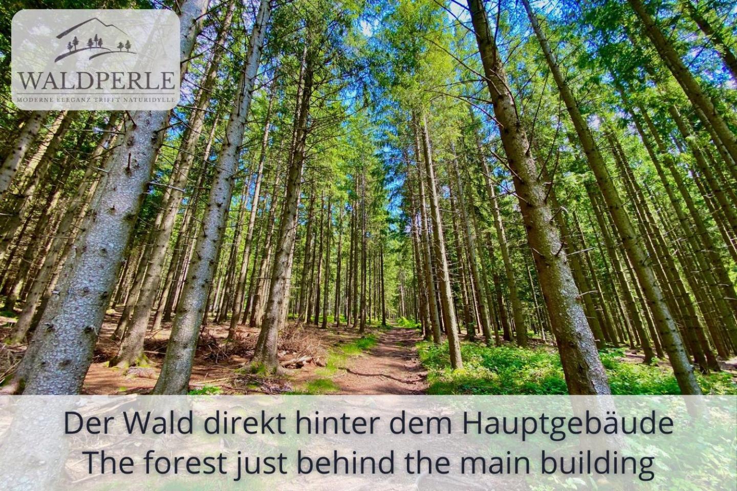 Exklusives 5-Sterne Apartment Waldperle Mit Indoor-Pool, Sauna, Top Lage Und Ausblick In Die Natur, Hunde Willkommen Schonach im Schwarzwald Экстерьер фото