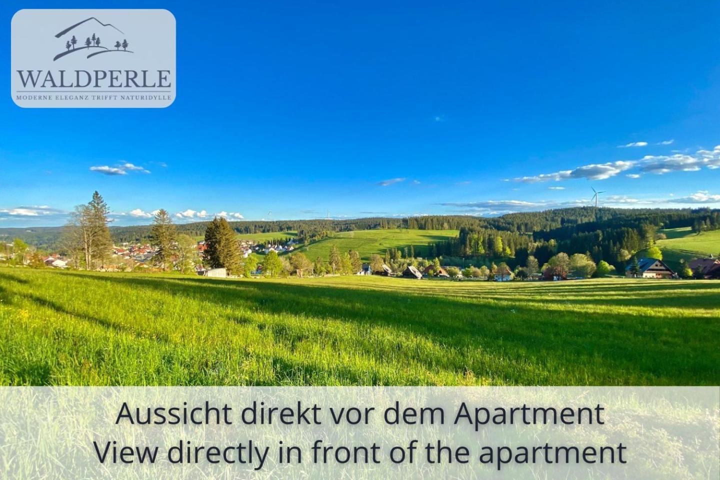 Exklusives 5-Sterne Apartment Waldperle Mit Indoor-Pool, Sauna, Top Lage Und Ausblick In Die Natur, Hunde Willkommen Schonach im Schwarzwald Экстерьер фото