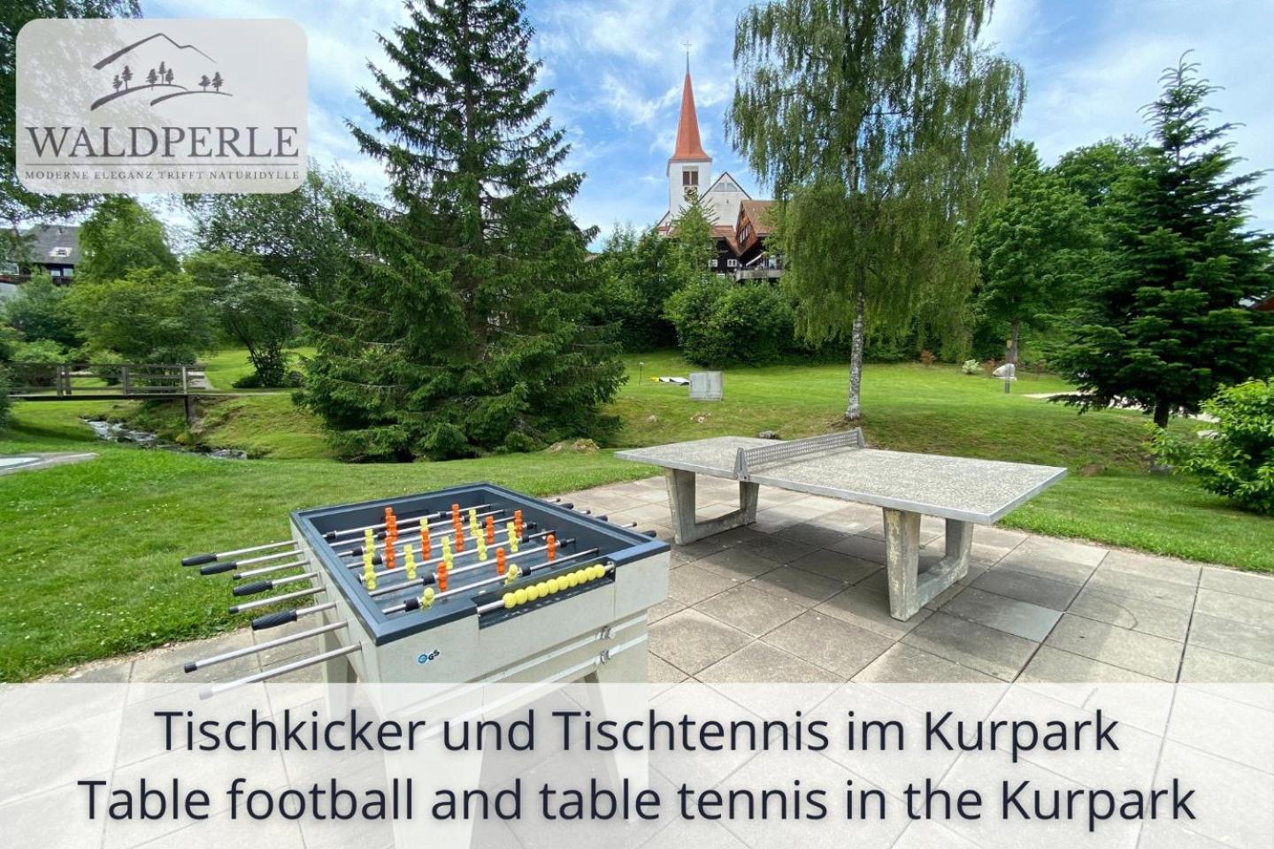 Exklusives 5-Sterne Apartment Waldperle Mit Indoor-Pool, Sauna, Top Lage Und Ausblick In Die Natur, Hunde Willkommen Schonach im Schwarzwald Экстерьер фото