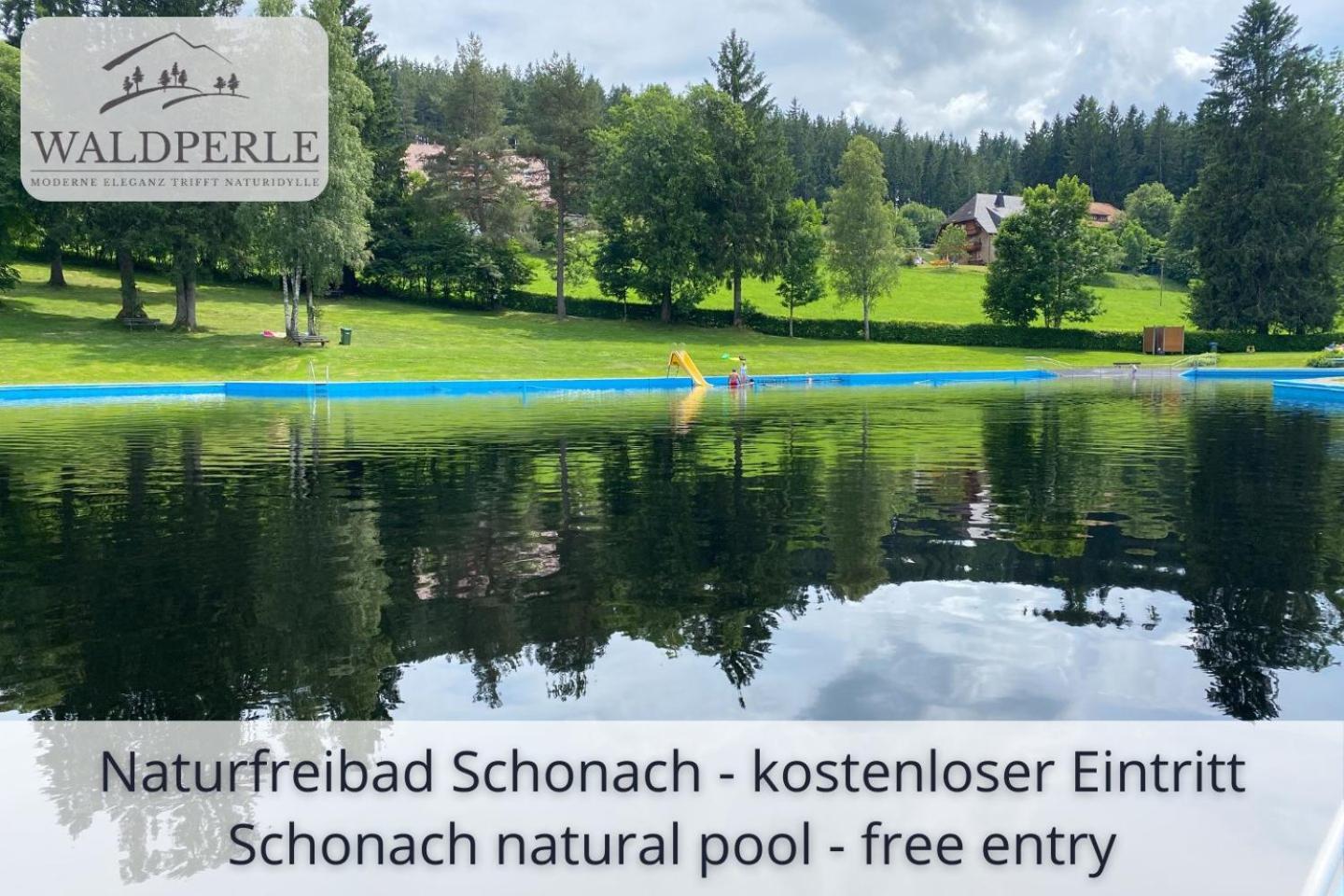 Exklusives 5-Sterne Apartment Waldperle Mit Indoor-Pool, Sauna, Top Lage Und Ausblick In Die Natur, Hunde Willkommen Schonach im Schwarzwald Экстерьер фото