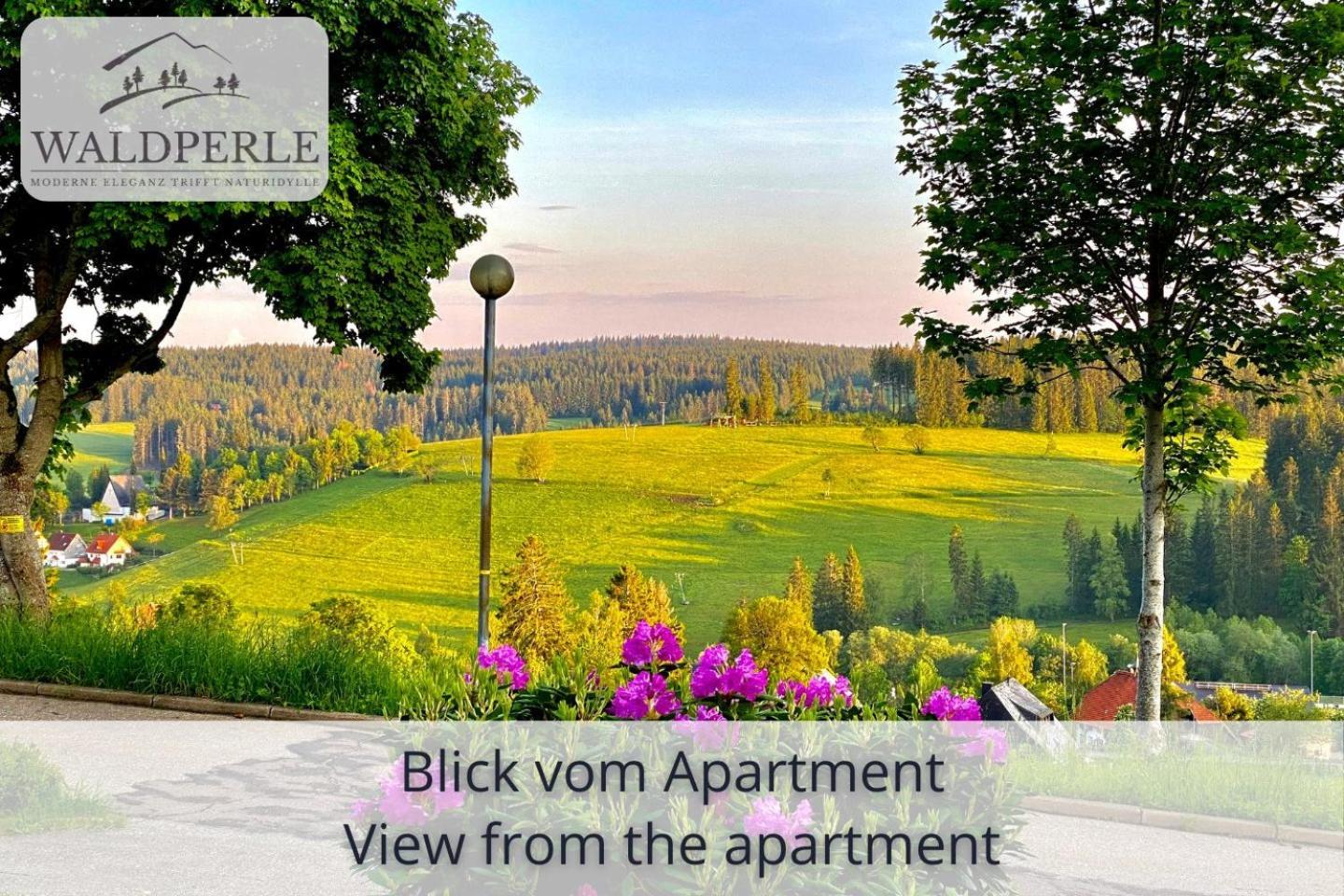 Exklusives 5-Sterne Apartment Waldperle Mit Indoor-Pool, Sauna, Top Lage Und Ausblick In Die Natur, Hunde Willkommen Schonach im Schwarzwald Экстерьер фото