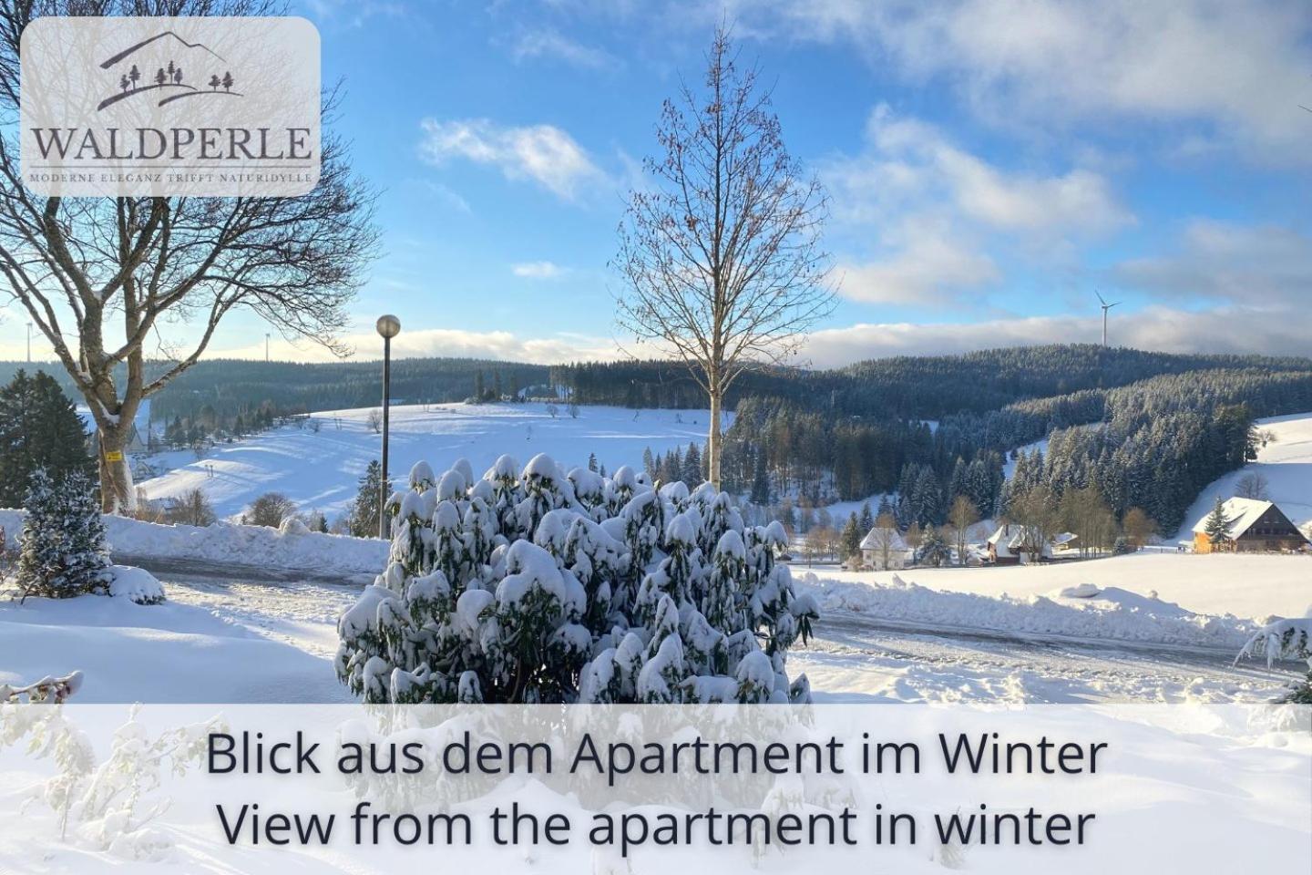 Exklusives 5-Sterne Apartment Waldperle Mit Indoor-Pool, Sauna, Top Lage Und Ausblick In Die Natur, Hunde Willkommen Schonach im Schwarzwald Экстерьер фото