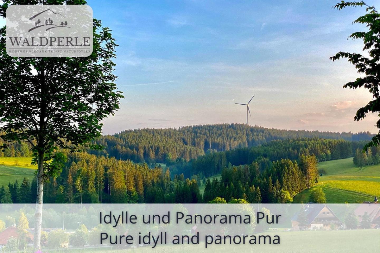 Exklusives 5-Sterne Apartment Waldperle Mit Indoor-Pool, Sauna, Top Lage Und Ausblick In Die Natur, Hunde Willkommen Schonach im Schwarzwald Экстерьер фото