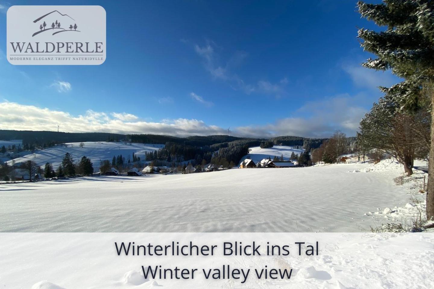 Exklusives 5-Sterne Apartment Waldperle Mit Indoor-Pool, Sauna, Top Lage Und Ausblick In Die Natur, Hunde Willkommen Schonach im Schwarzwald Экстерьер фото